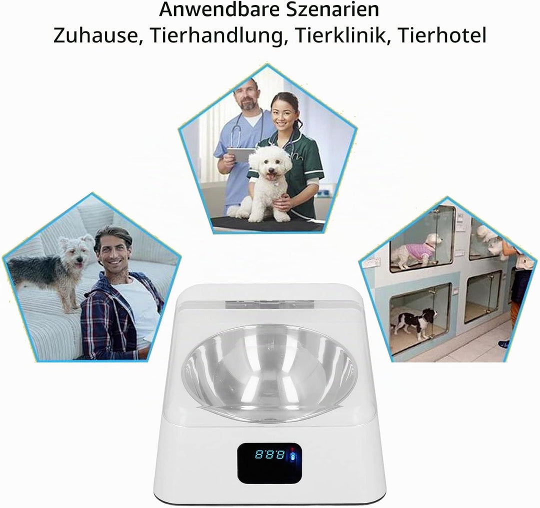Katzenfutter Automat, Futterautomat Katze Automatisch Katze Futternapf mit Sensor Automatischer Futt