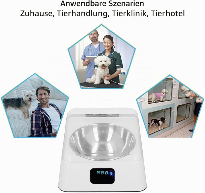 Katzenfutter Automat, Futterautomat Katze Automatisch Katze Futternapf mit Sensor Automatischer Futt