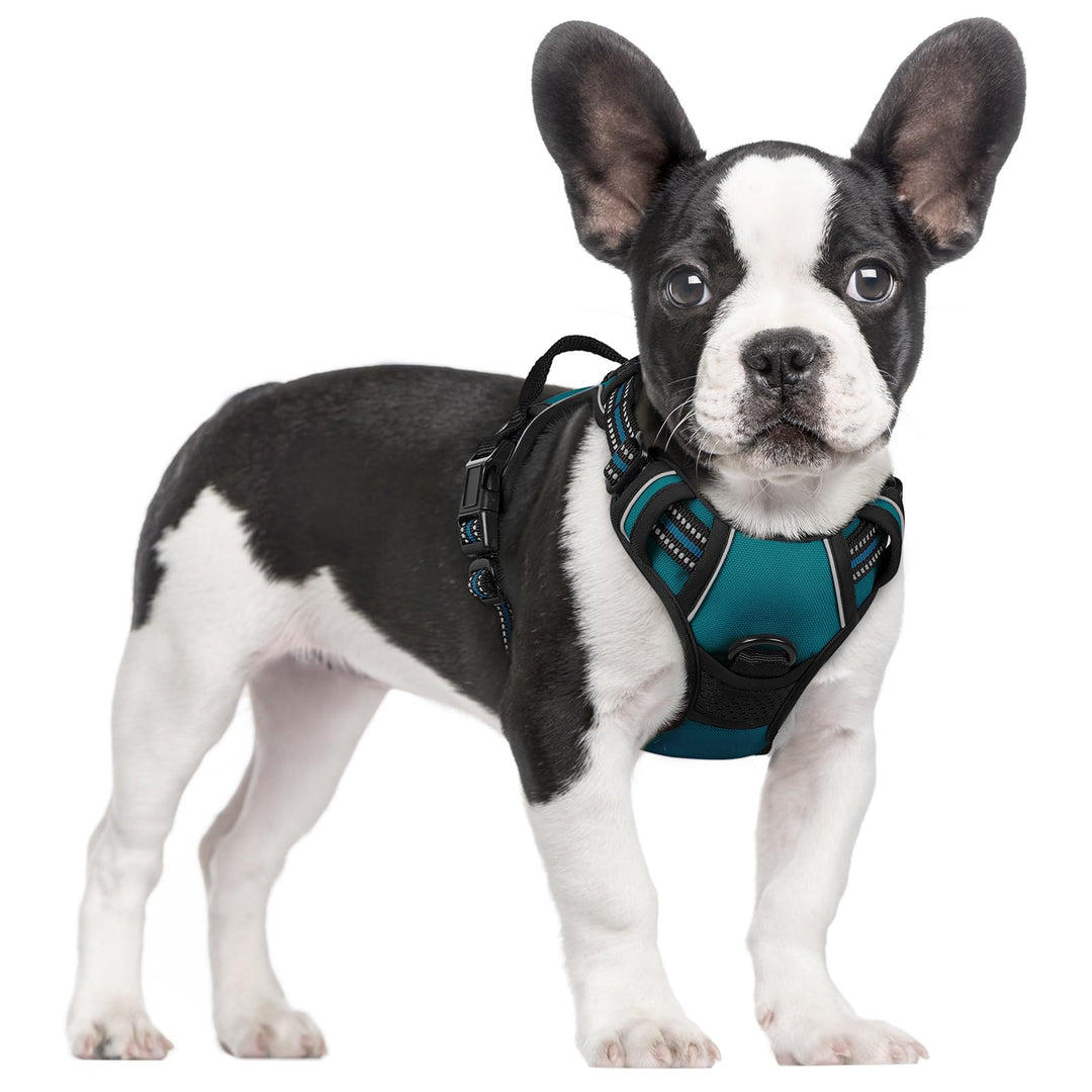 rabbitgoo Hundegeschirr Mittelgrosse Hunde, Anti Zug Geschirr mit Kontrolle, No Pull Verstellbar Hun