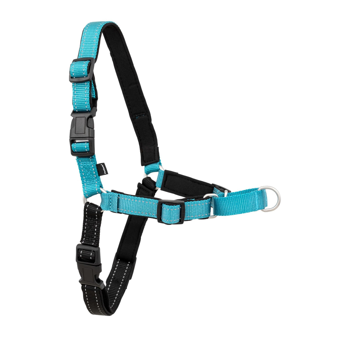PetSafe Deluxe Easy Walk Hundegeschirr Meer Small, Meer Small