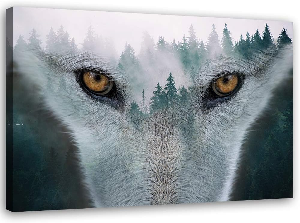 Feeby Bild auf Leinwand Wolf Kunstdruck modern abstrakt Grau 80x60 cm Leinwandbild 80x60 cm Grau_a,