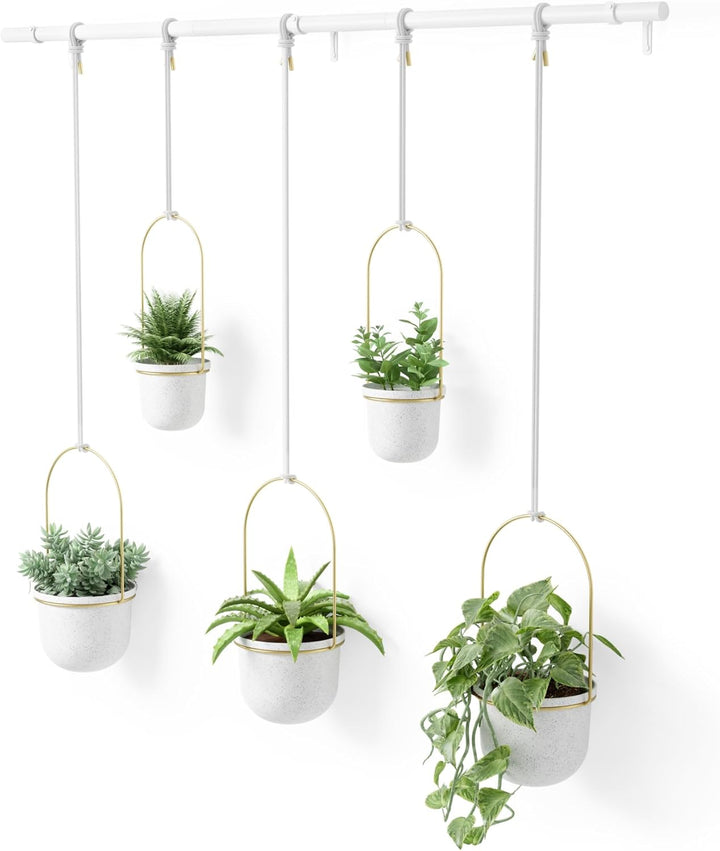 Umbra Triflora Vase, Hängeblumentopf, Wandvase, Blumenampel für Wand- und Deckenanbringung, 5er-Set,