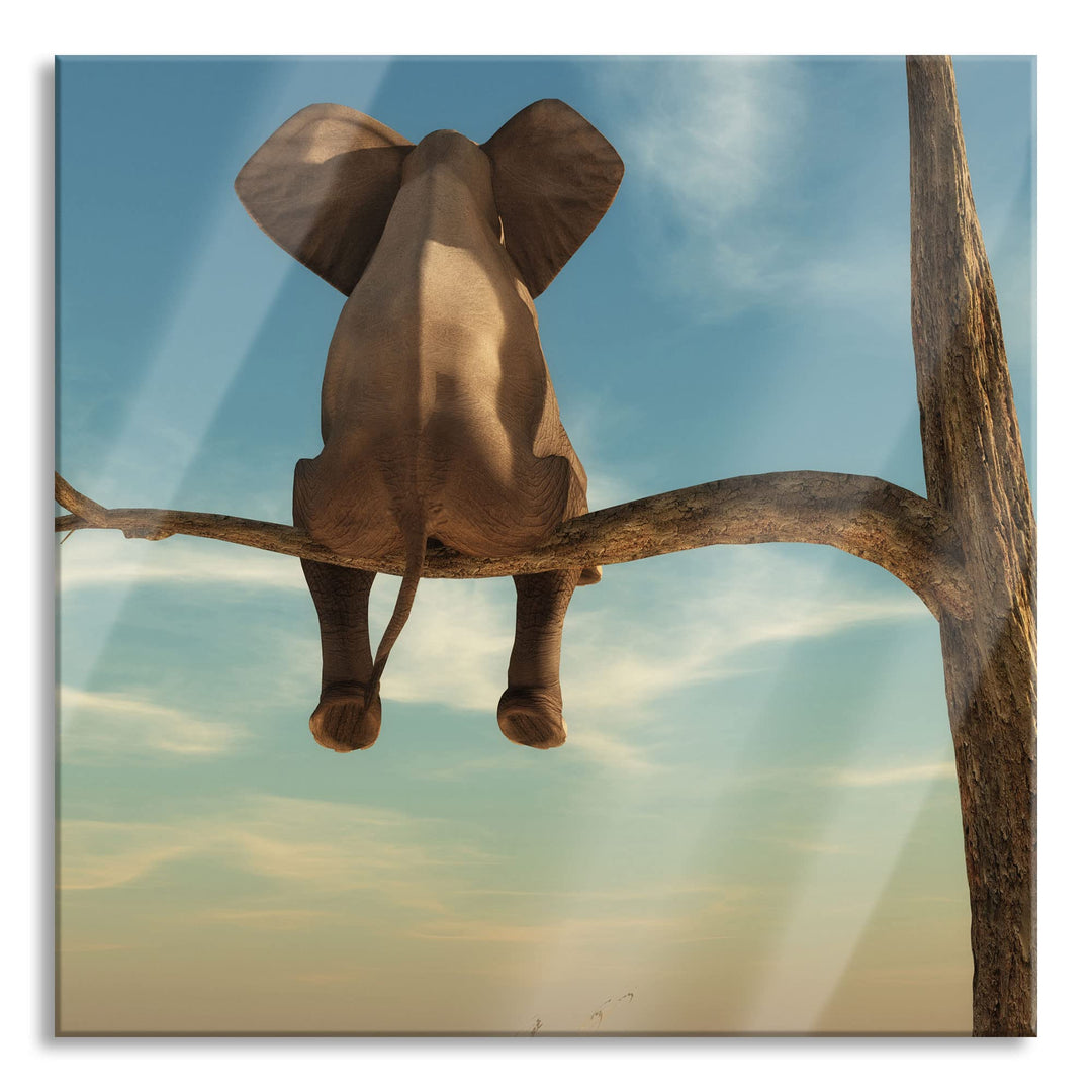 Pixxprint Glasbild | Wandbild auf Echtglas | Elefant auf einem Ast in der Wüste | 70x70 cm | inkl. A