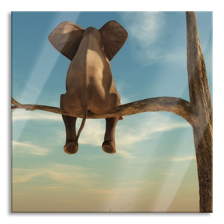Pixxprint Glasbild | Wandbild auf Echtglas | Elefant auf einem Ast in der Wüste | 70x70 cm | inkl. A