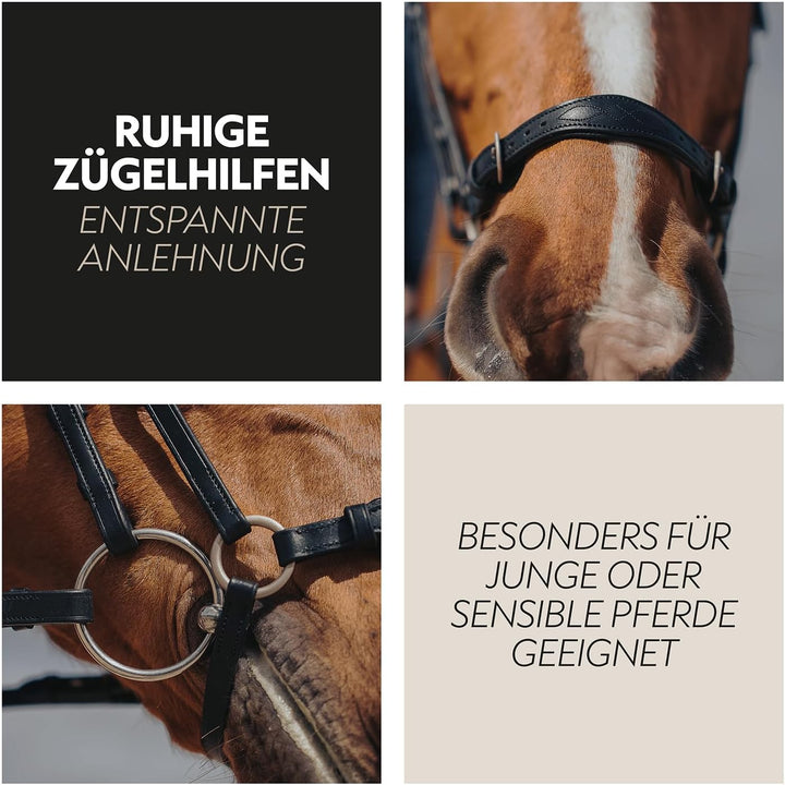 SUNRIDE hannoveranische Trense (Hannover) mit Zügel aus erstklassigem Echtleder für entspanntes Reit
