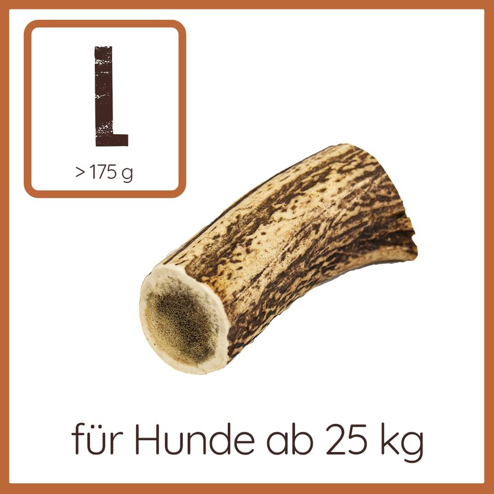 Wildfang® Rothirsch Geweih mit Lachsöl für Hunde I Natürlicher Hunde Kauknochen - Zahnpflege - Kaumu