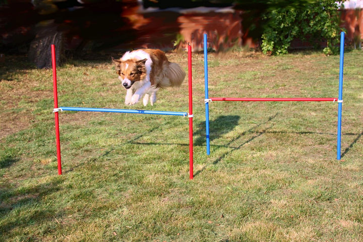 2 X Agility-ÜBUNGS-HÜRDEN-Set IN BLAU/ROT/Hobby Horse/Fun Horse