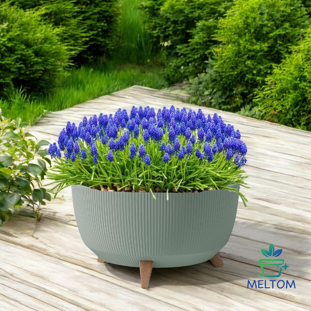 MELTOM Blumentopf Schale mit Füssen Einsatz Kräutertopf Übertopf Pflanzschale Eco Recycled (Grün, L