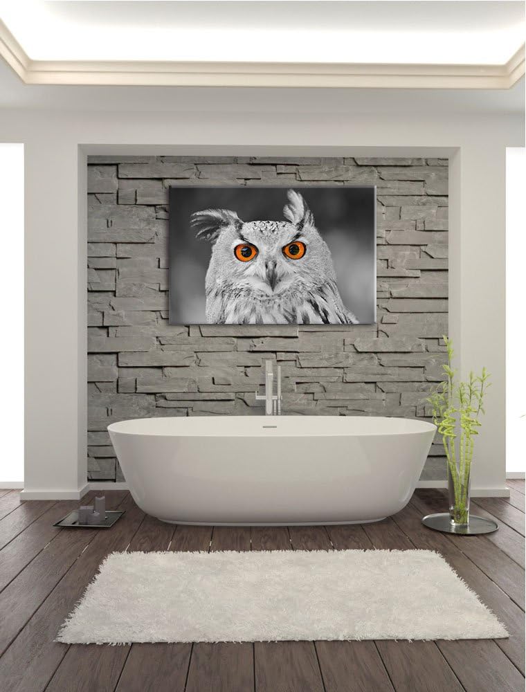 süsser Eulen Kauz schwarz/weiss Format: 100x70 auf Leinwand, XXL riesige Bilder fertig gerahmt mit K