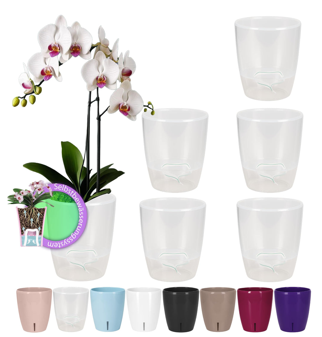 Santino 6er-Set Orchideentopf D 15cm.Selbstbewässernder Topf mit Dochtsystem und Wasserstandsanzeige