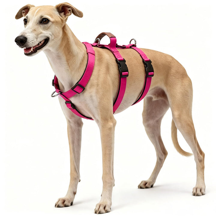 Ausbruchsicheres Hundegeschirr, Anti-Zug Verstellbares Sicherheitsgeschirr mit 3-Punkt-Design und Gr