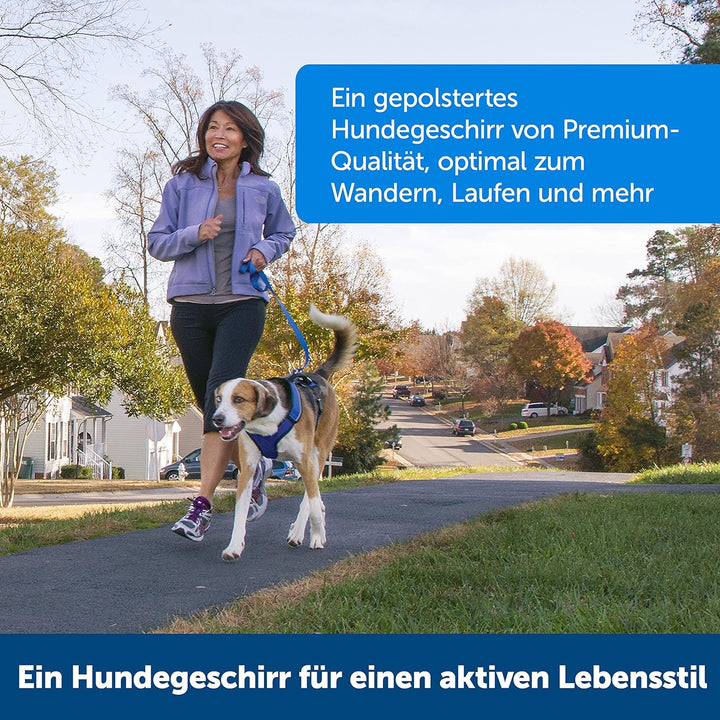 PetSafe EasySport Hundegeschirr, Komplett gepolstert mit elastischem Halsteil, Für Hunde von 29,5-36