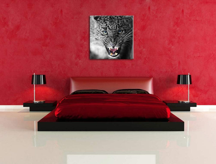 Pixxprint schöner fauchender Leopard als Leinwandbild | Grösse: 70x70 cm | Wandbild | Kunstdruck | f