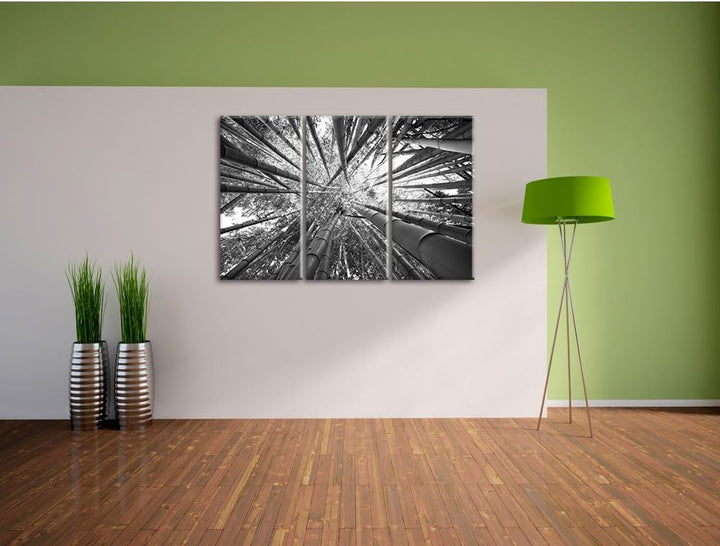Pixxprint Grüner Bambus Kunst B&W als Leinwandbild | Grösse: 3 Teilig (120x80) | Wandbild| Kunstdruc