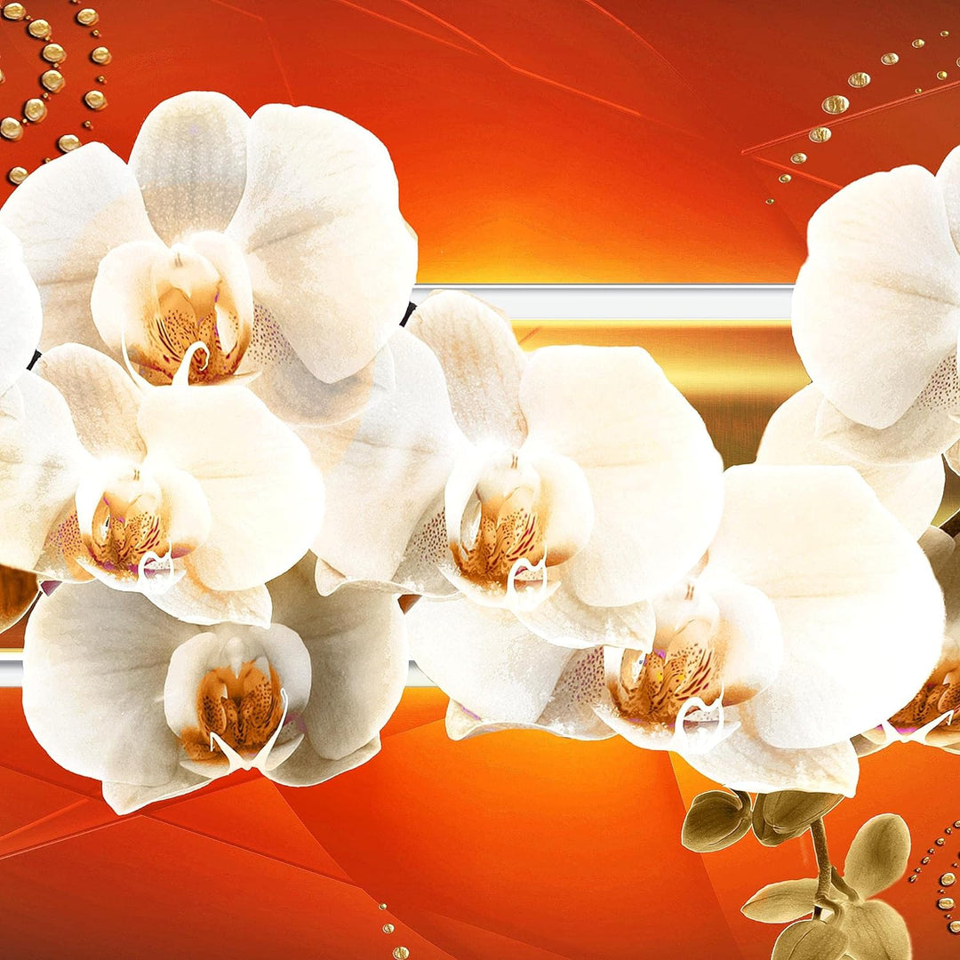Runa Art Wandbilder Blumen Orchidee 5 Teilig Bild auf Vlies Leinwand Deko Wohnzimmer Abstrakt Rosa O