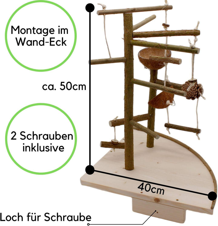 Vogelgaleria® Premium Vogelspielplatz gross für die Wand-Montage | 2 abnehmbare Natur Kletterbäume a