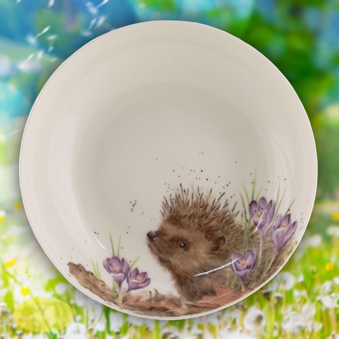 Wrendale Designs Porzellan Pasta- & Suppenteller Igel ca 22cmD Royal Worcester tiefer Suppen-Teller