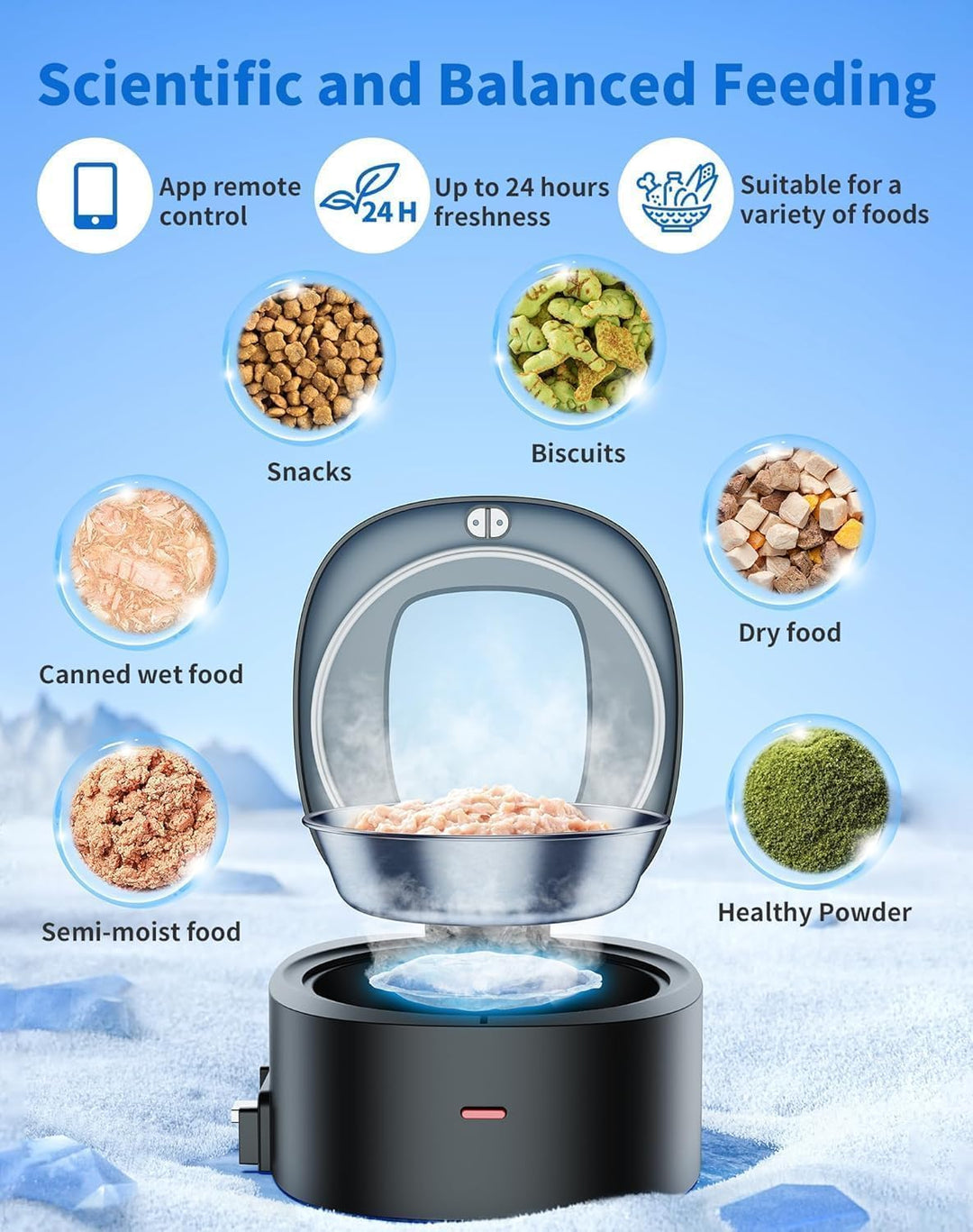 HoneyGuaridan 2-in-1 Smart Futterautomat Katze für Trocken & Nassfutter, WLAN 2.4G Automatischer Kat