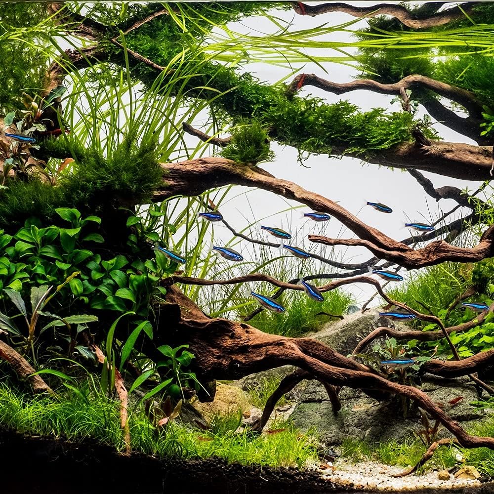 AquaOne Aquarium Aussenfilter HW-702A 1000 L/h I Hochwertiger Filter für Aquarien bis 400 Liter I Pu