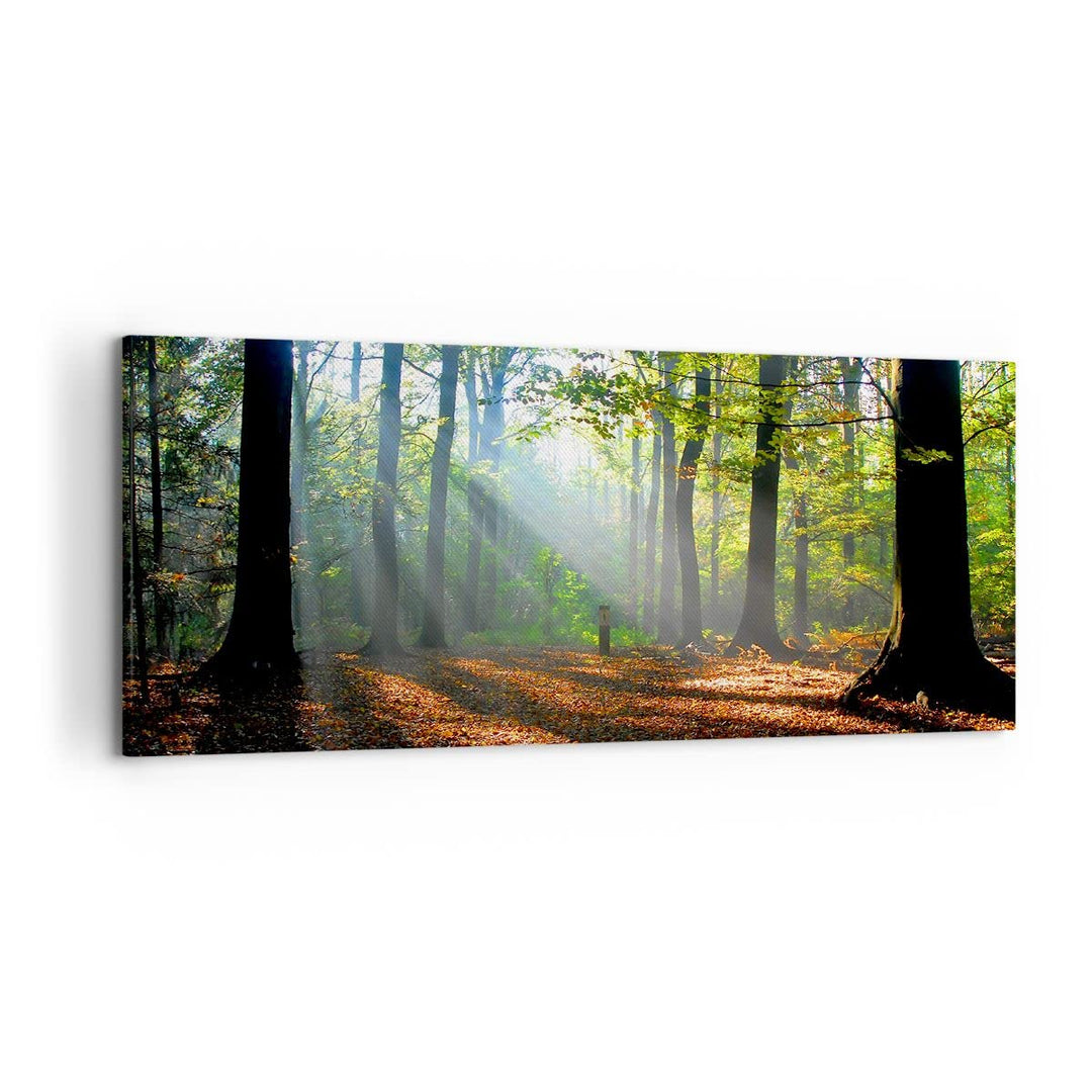 Wandbilder Dekoration Wohnzimmer Wald Blätter Sonne Panorama Bilder auf Leinwand 120x50cm Leinwandbi