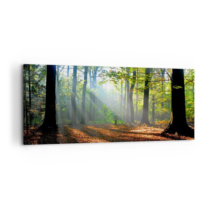 Wandbilder Dekoration Wohnzimmer Wald Blätter Sonne Panorama Bilder auf Leinwand 120x50cm Leinwandbi