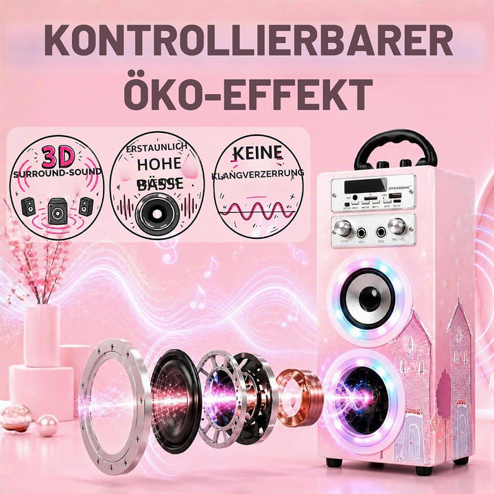 DYNASONIC Karaoke mit 2 Mikrofonen, tragbarer Karaoke-Maschine, Bluetooth-Lautsprecher, USB- und SD-