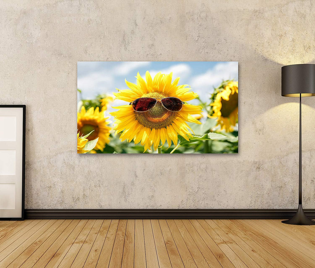 islandburner Bild auf Leinwand Lustige Sonnenblume Sonnenbrille Feld Bilder Wandbilder Poster Leinwa