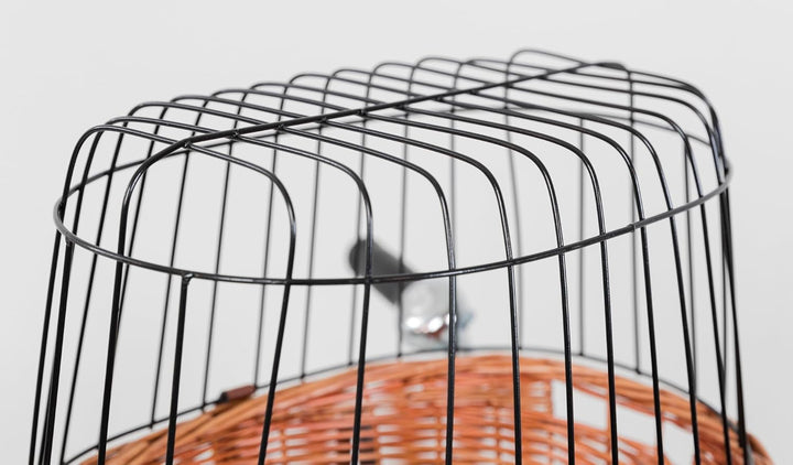 TRIXIE Hundekorb für das Fahrrad vorne bis 5 kg 44 × 48 × 33 cm - gewobener Hundefahrradkorb für den