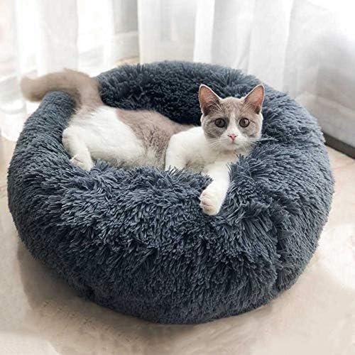 BODISEINT Modernes weiches Plüsch-Haustierbett für Katzen oder kleine Hunde, mittelgross, selbstwärm