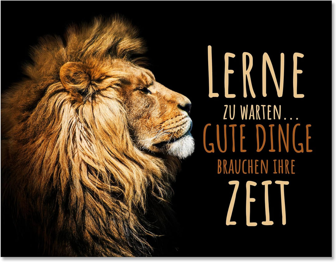 wandmotiv24 Leinwand-Bilder Löwen, Grösse 100x75cm, Querformat, Löwe, lerne zu warten, Zeit, Raub-Ka