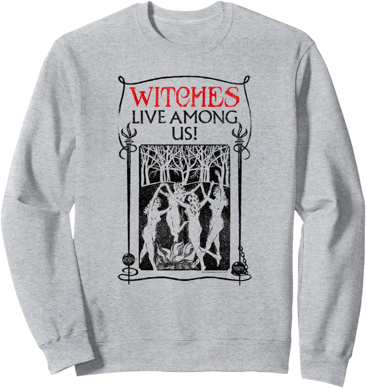 Fantastic Beasts and Where to Find Them Witches Among Us Sweatshirt