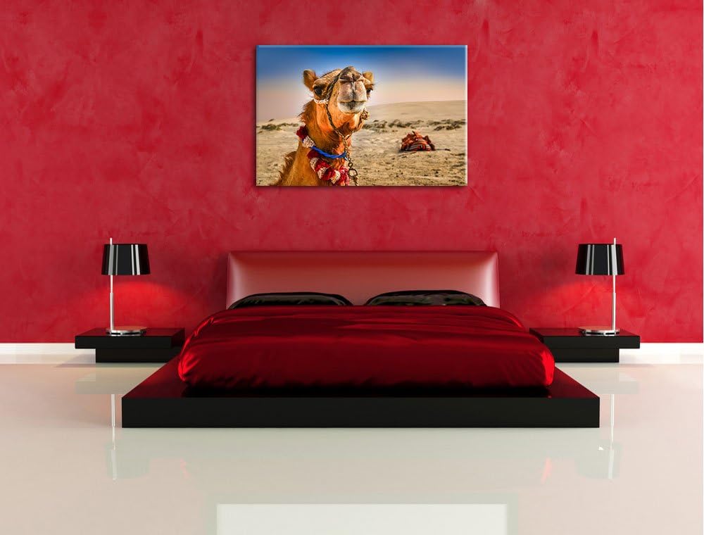 Lustiges Kamel in Wüste Format: 100x70 auf Leinwand, XXL riesige Bilder fertig gerahmt mit Keilrahme