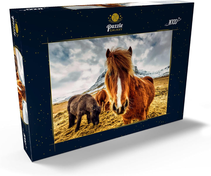 Pferde in den Bergen von Island - Premium 1000 Teile Puzzle - MyPuzzle Sonderkollektion von Puzzle G