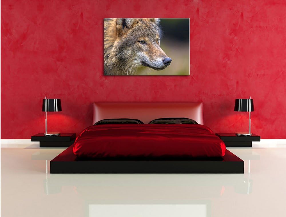Pixxprint Porträt des europäischen Wolfes als Leinwandbild/Grösse: 100x70 cm/Wandbild/Kunstdruck/fer