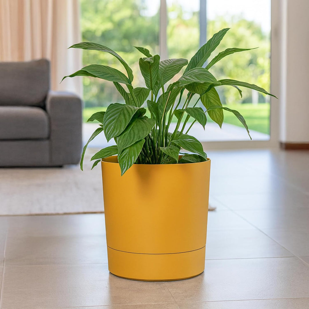 KONZEPT Blumentopf mit Untersetzer 38 cm - grosser Übertopf aus Kunststoff für Zimmerpflanzen, moder