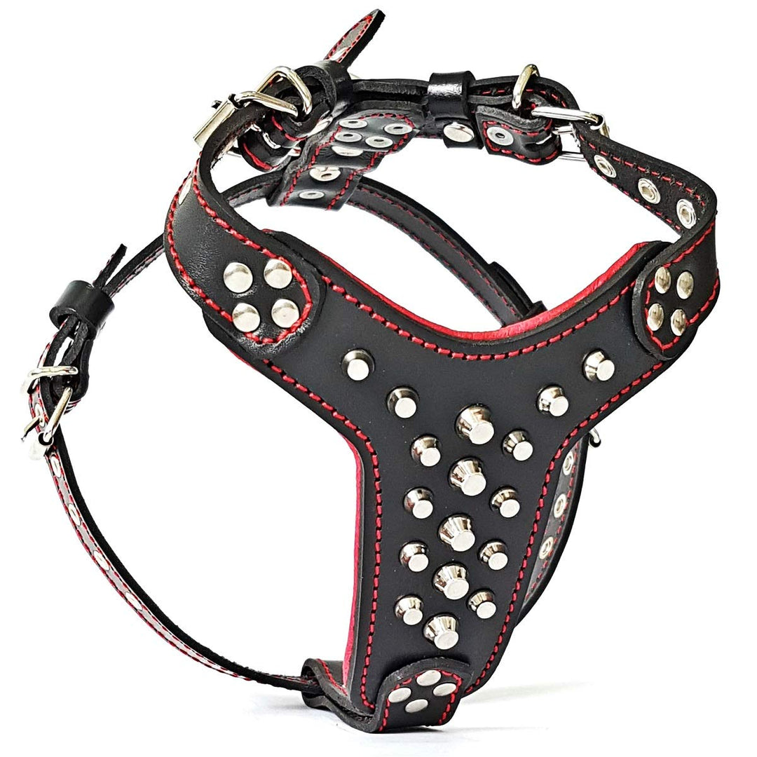 Bestia |Rocky| Leder Brustgeschirr für Bullterrier. 100% Leder. Handgefertigt. Top Qualität M- für e