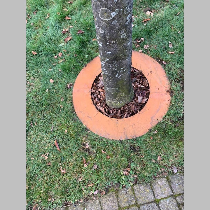 Baumring Cortenstahl Edelrost Ø50 cm Ø30 cm innen – Baumschutz & Gartendeko rost Aussendurchmesser 5
