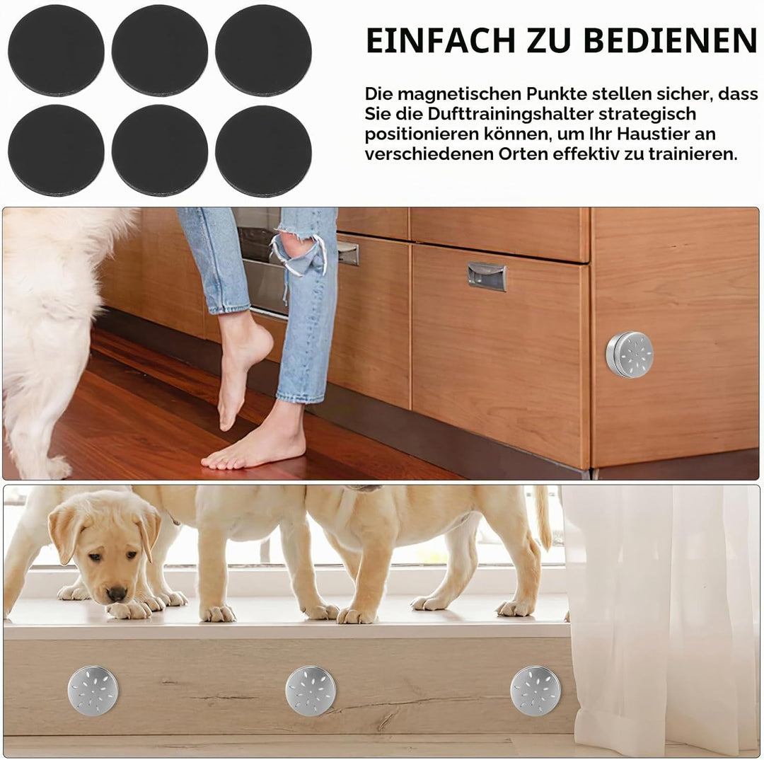 Kisangel Hundeduft Trainingsboxen Mit Magnetpunkten – 10X Geruchsdosen Aus Aluminium 2.7 Zoll Für Na