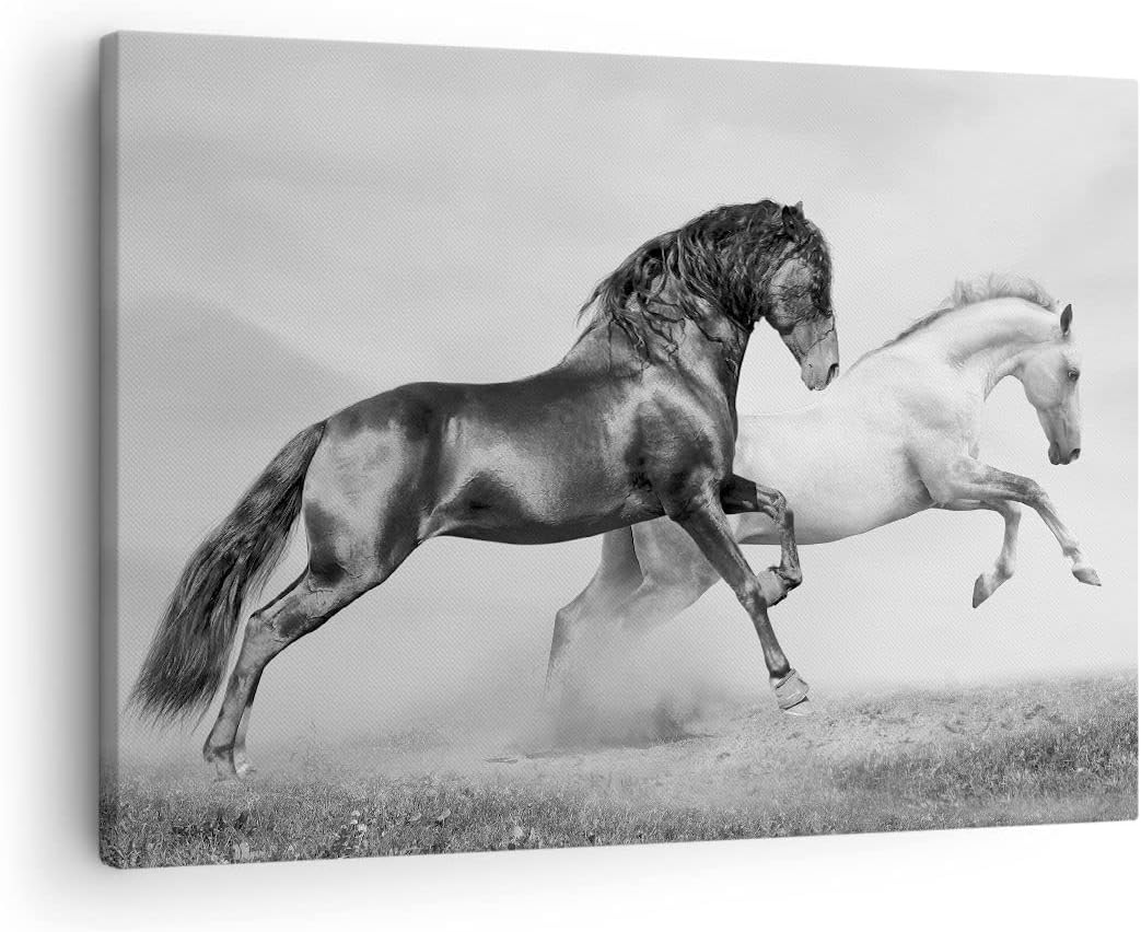 Bilder auf Leinwand Pferde Tiere Galopp Wiese Leinwandbild 70x50cm Wandbilder Dekoration Wohnzimmer