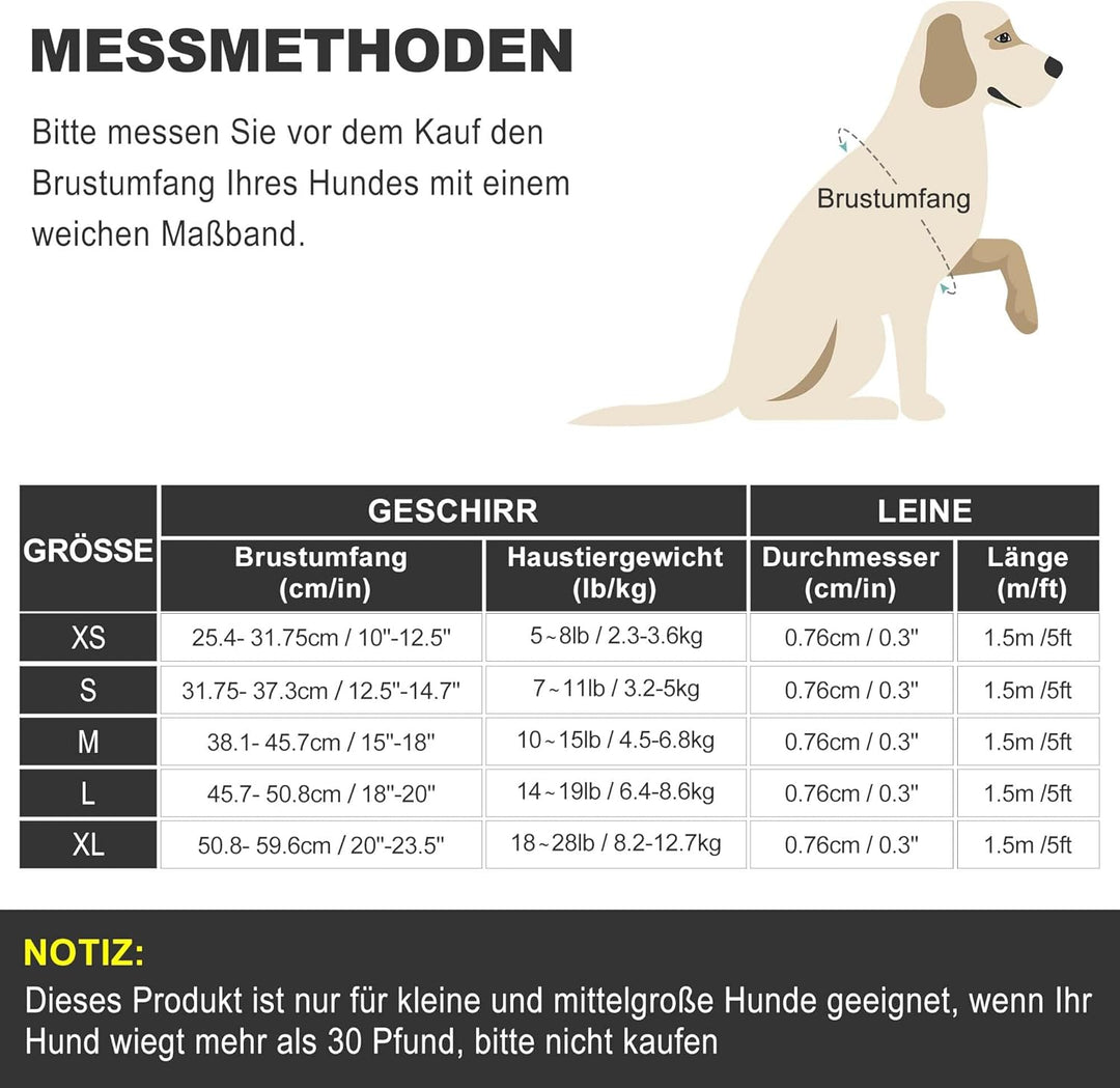 haapaw Hundegeschirr und Leine Set, kein Ziehen, verstellbares, reflektierendes Step-in-Welpengeschi