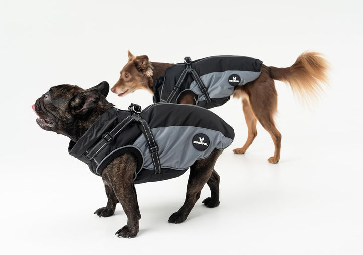 DOGOPAL Regenmantel Hund mit Integriertem Geschirr – Wasserdichter Hunderegenmantel, Winddichter Hun