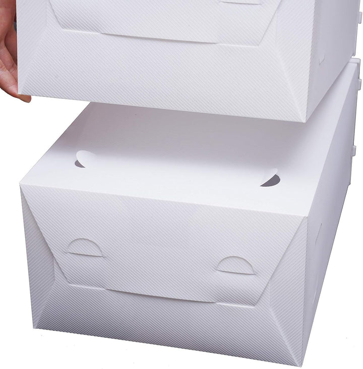 Lightakai 20 Stück Schuhboxen, faltbare Kunststoff-Schuh-Aufbewahrungsbox, transparenter Schuh-Organ