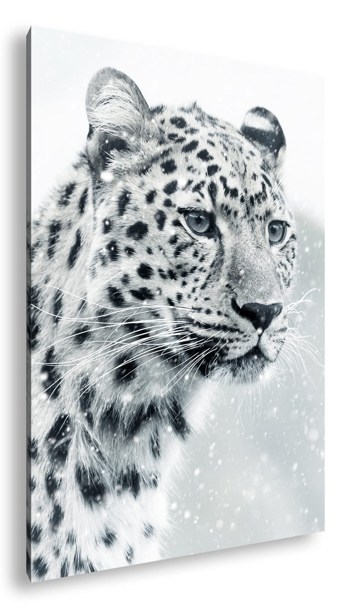 deyoli lauernder Leopard Format: 60x40 als Leinwand, Motiv fertig gerahmt auf Echtholzrahmen, Hochwe