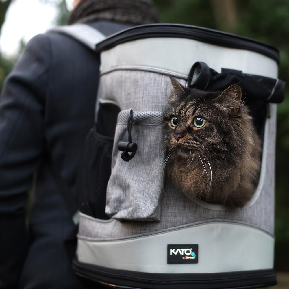Katzenrucksack Hunderucksack bis 6.8KG, Faltbare Haustier Tragetasche mit Innerer Sicherheitsleine u