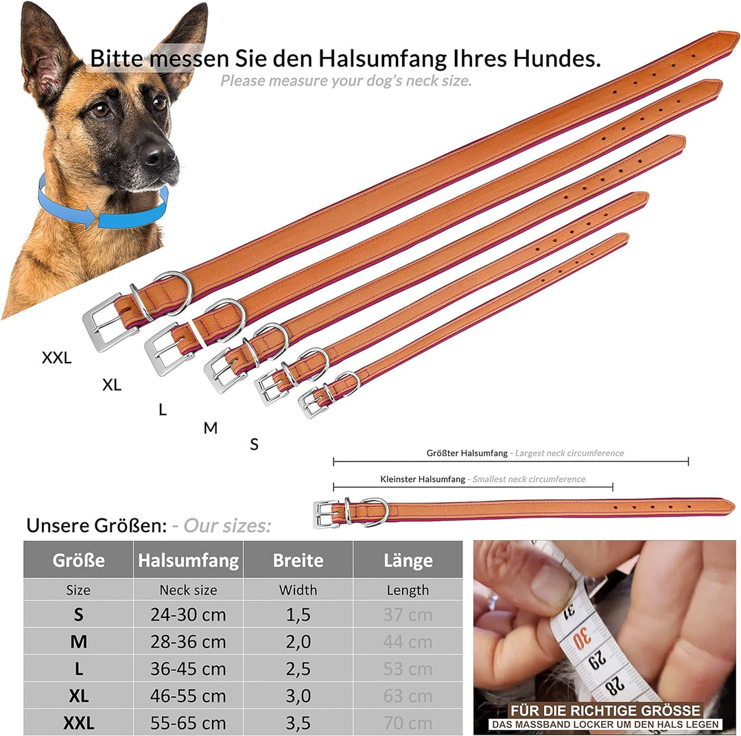 Schnüffelfreunde Lederhalsband Hund - Fun Line (XXL - 55-65cm, Beige-Pink) XXL Beige-Pink, XXL Beige