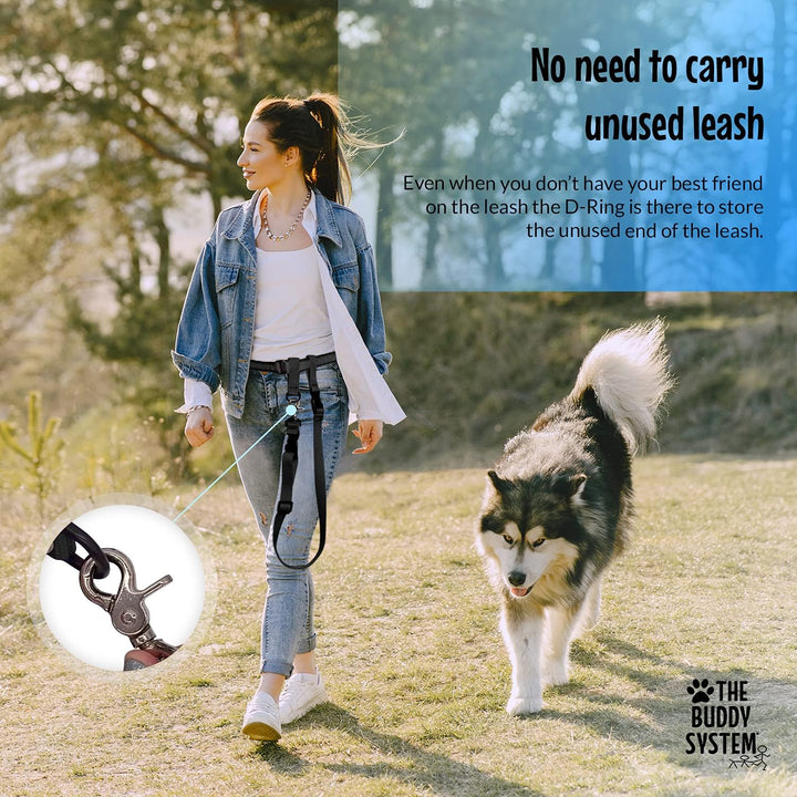 The Buddy System Made in USA Adjustable Hands Free Leash, Great for Running, Regular Dog System, Reg