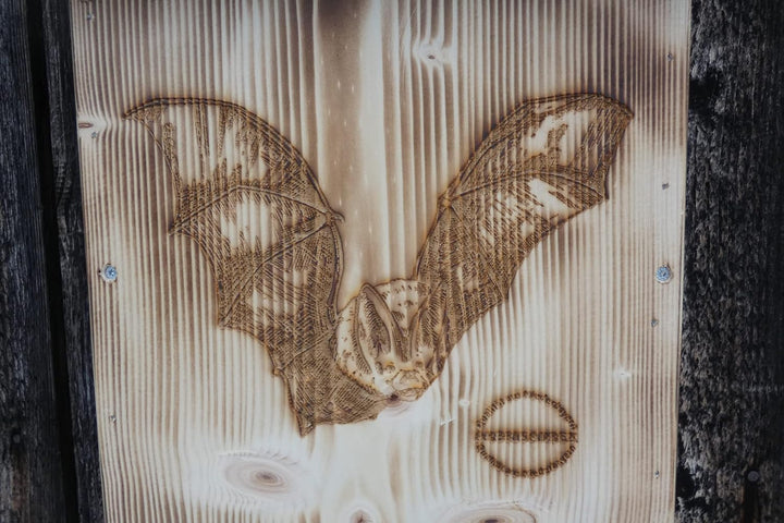 🦇XXL Premium Fledermauskasten 🦇 aus 18mm starken bayerischem Fichtenholz, grosses Wetterfestes Dach.