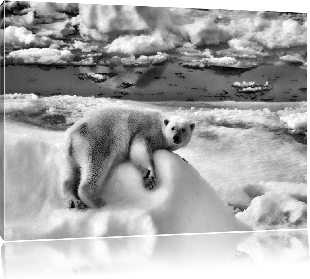 Pixxprint Eisbär auf Eisberg als Leinwandbild/Grösse: 100x70 / Wandbild/Kunstdruck/fertig bespannt,