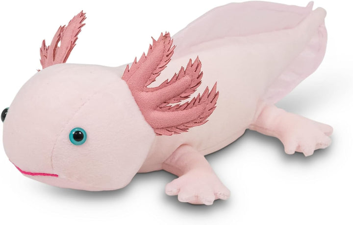 Axolotl