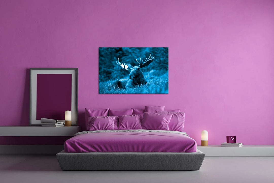 deyoli ruhig liegender Elch Format 80x60 Effekt: Monocrome Blau als Leinwandbild, Motiv fertig gerah